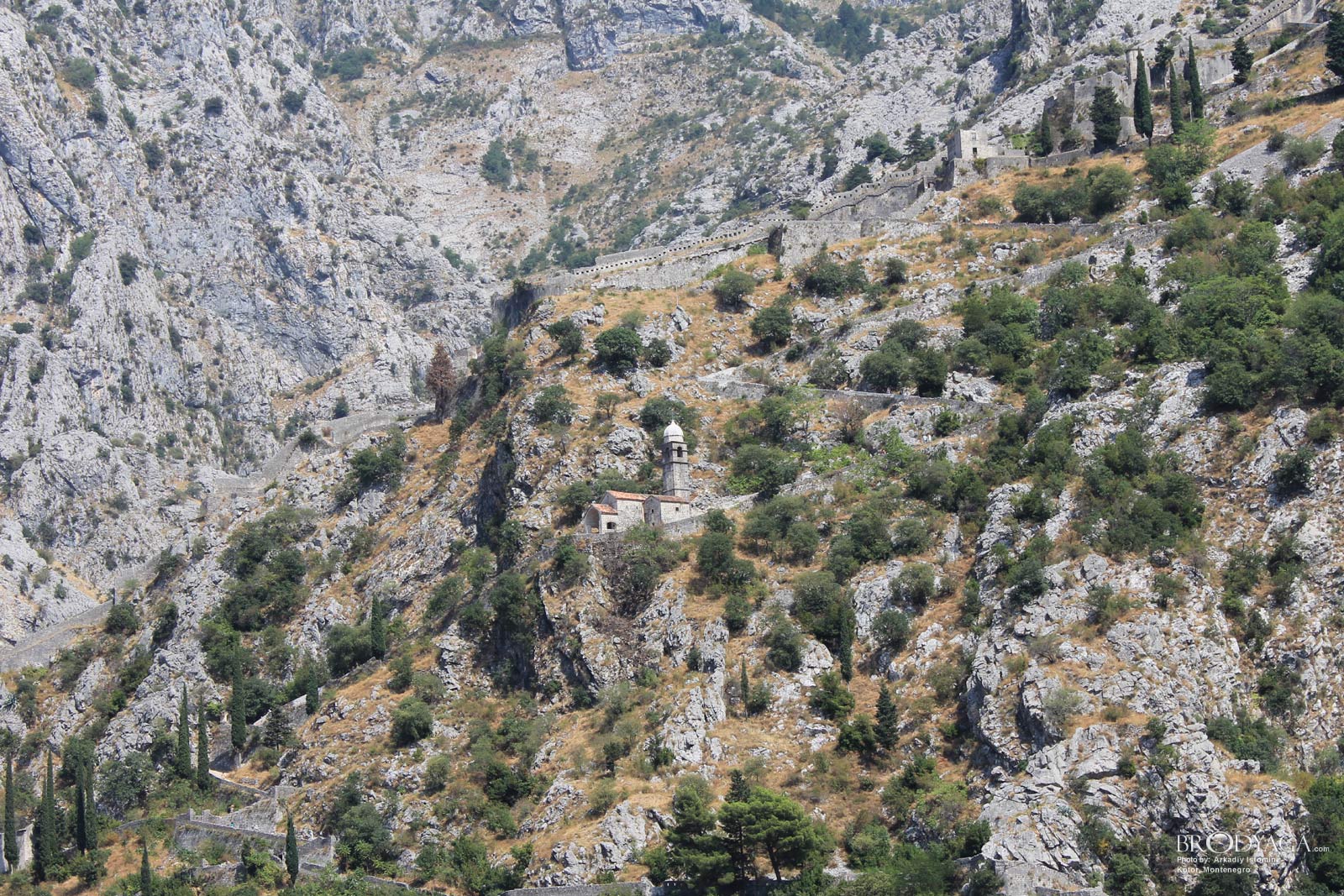 Kotor